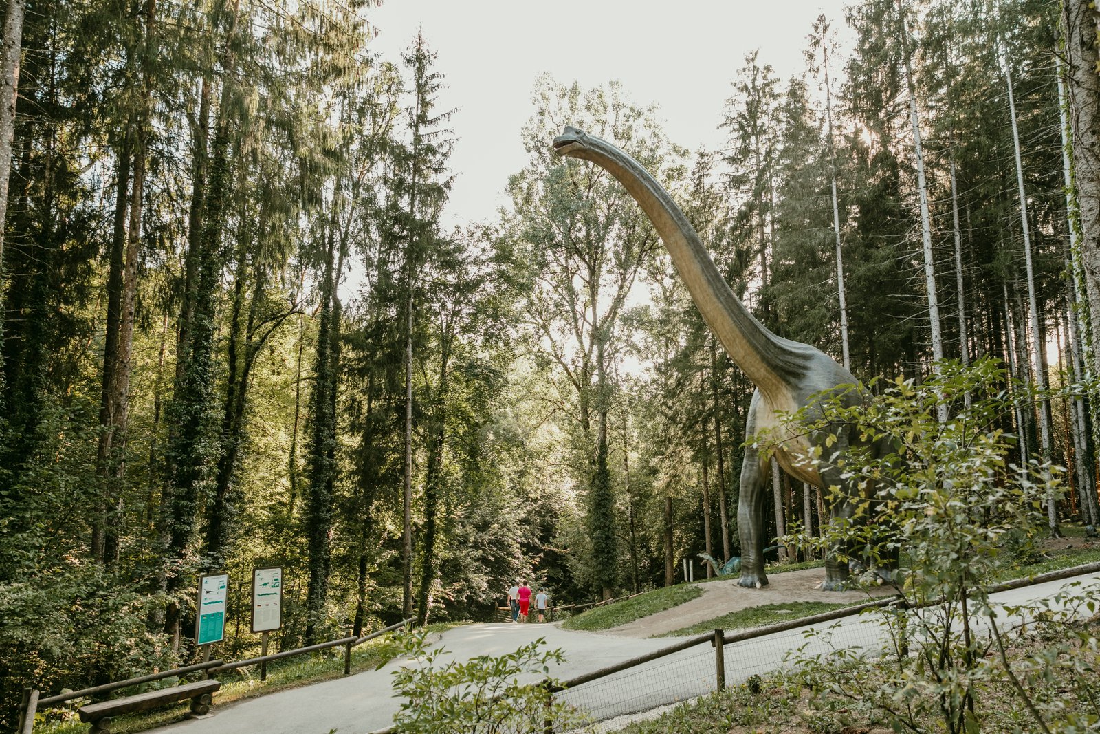 Dino-Zoo